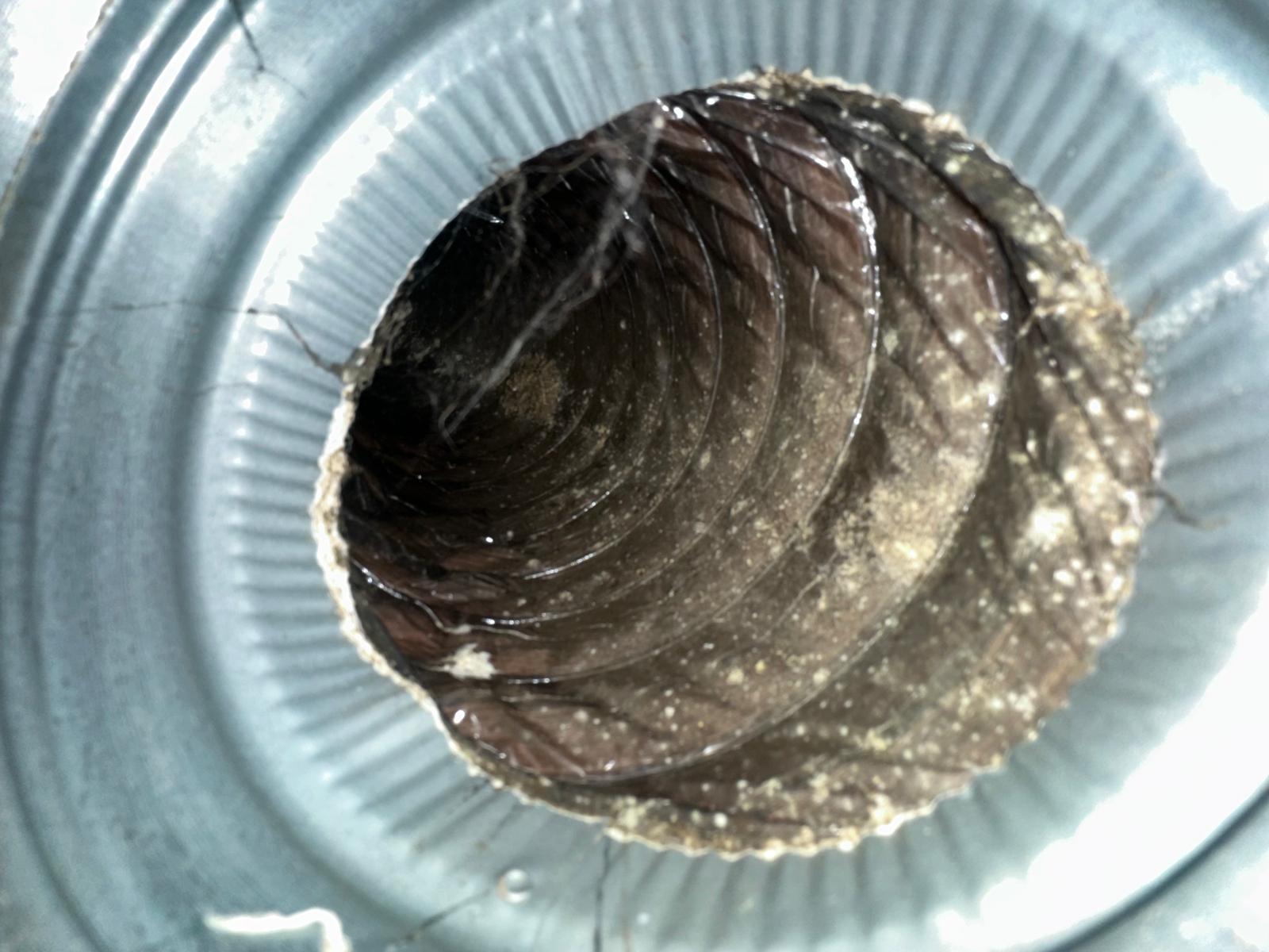Air duct cleaning results Hollywood