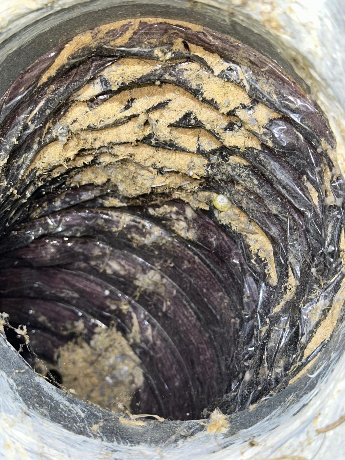 Air duct vent before Hollywood